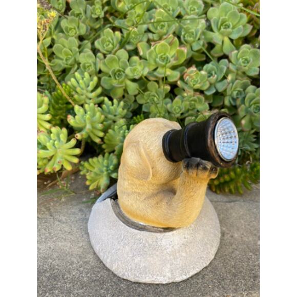 Puppy with Telescope Outdoor Solar Light NEW - Picture 2 of 5